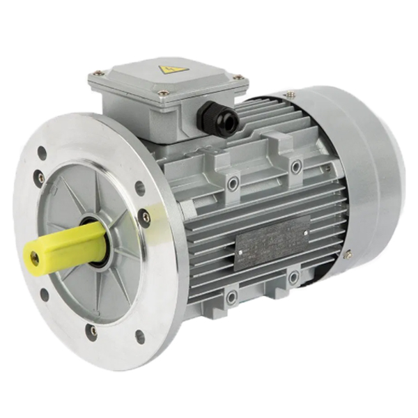 Motor 0.75kW 230/400V 1500rpm BN80 19mm B5