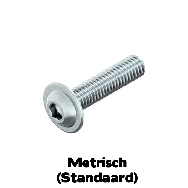LBK-flensschroef BZK M6x20 10.9 EVZ