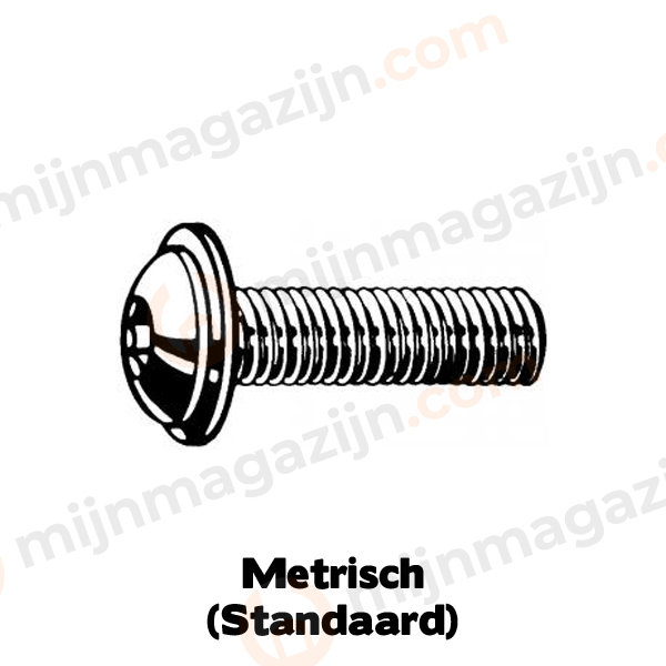 LBK-flensschroef BZK M8x20 RVS A4
