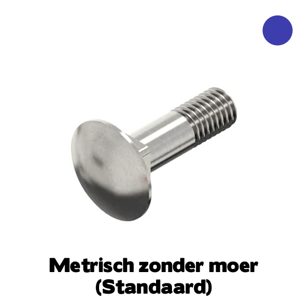 D603 Slotbout M6x60 RVS A4