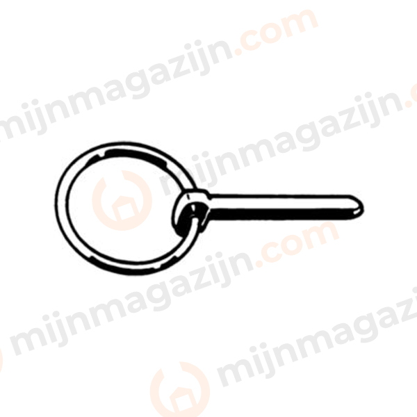 Verende borgpen met ring 6mm EVZ