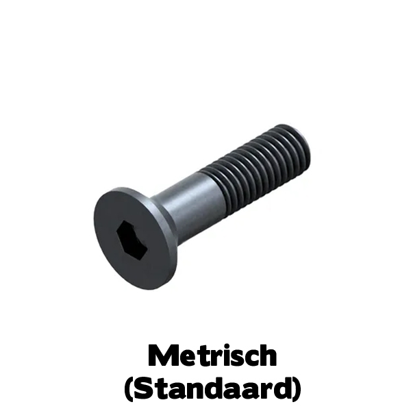 I10642 VK bout BZK M5x10 blank Kl.10.9
