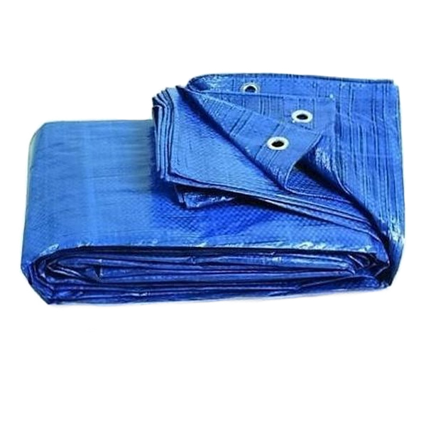 Dekzeil 2×3 meter blauw met ogen