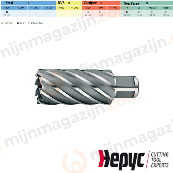 Hepyc Kernboor HSS 36x50mm Weldon