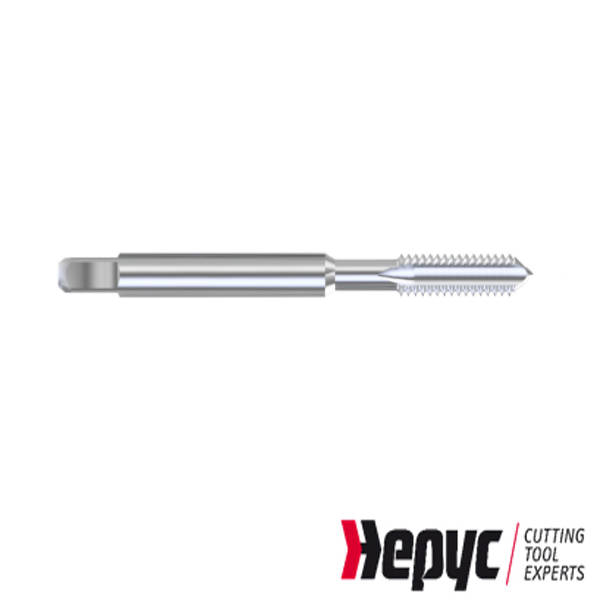 Hepyc machinetap tbv inserts M22*2,50