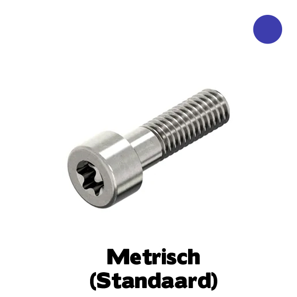 I14579 Cilinderkop Torxbout TX50 M10x40 RVS A4