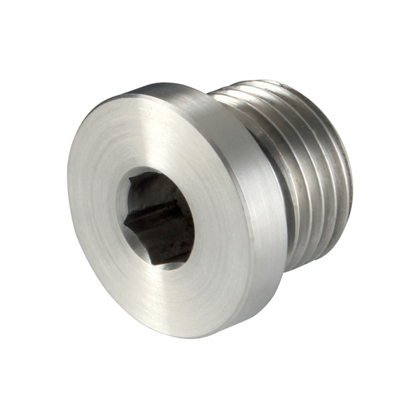 Inbusplug 1/4 RVS 316
