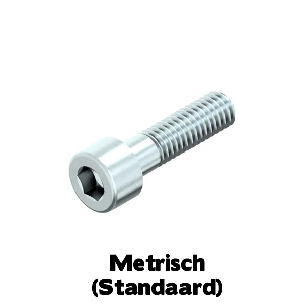 D912 Staal 8.8 EVZ