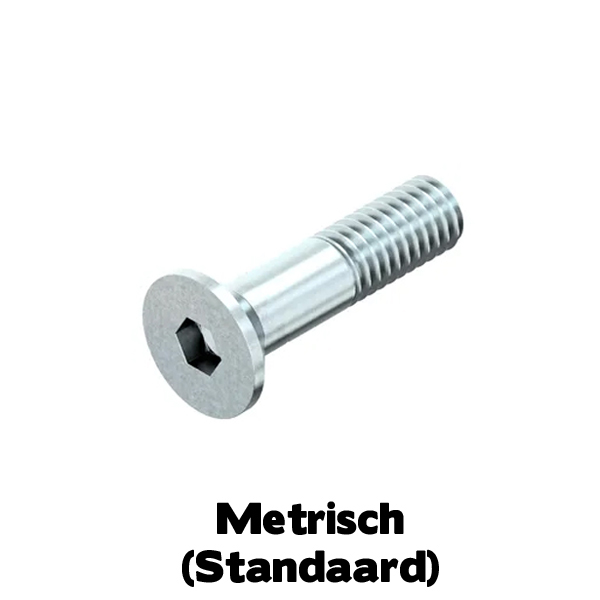 I10642 Staal 8.8 ELVZ