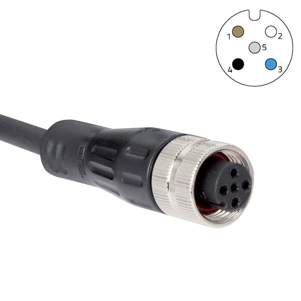 M12 5 pin type A