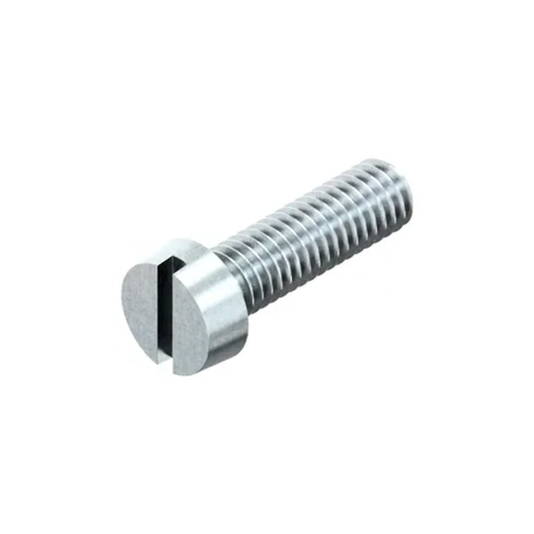 Cilinderkop met zaaggleuf DIN84